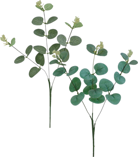 Tige D'eucalyptus 3 Branches 60cm - Ligne Déco
