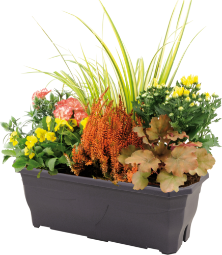Jardinière Composée D'automne