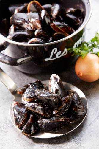 Moules STG