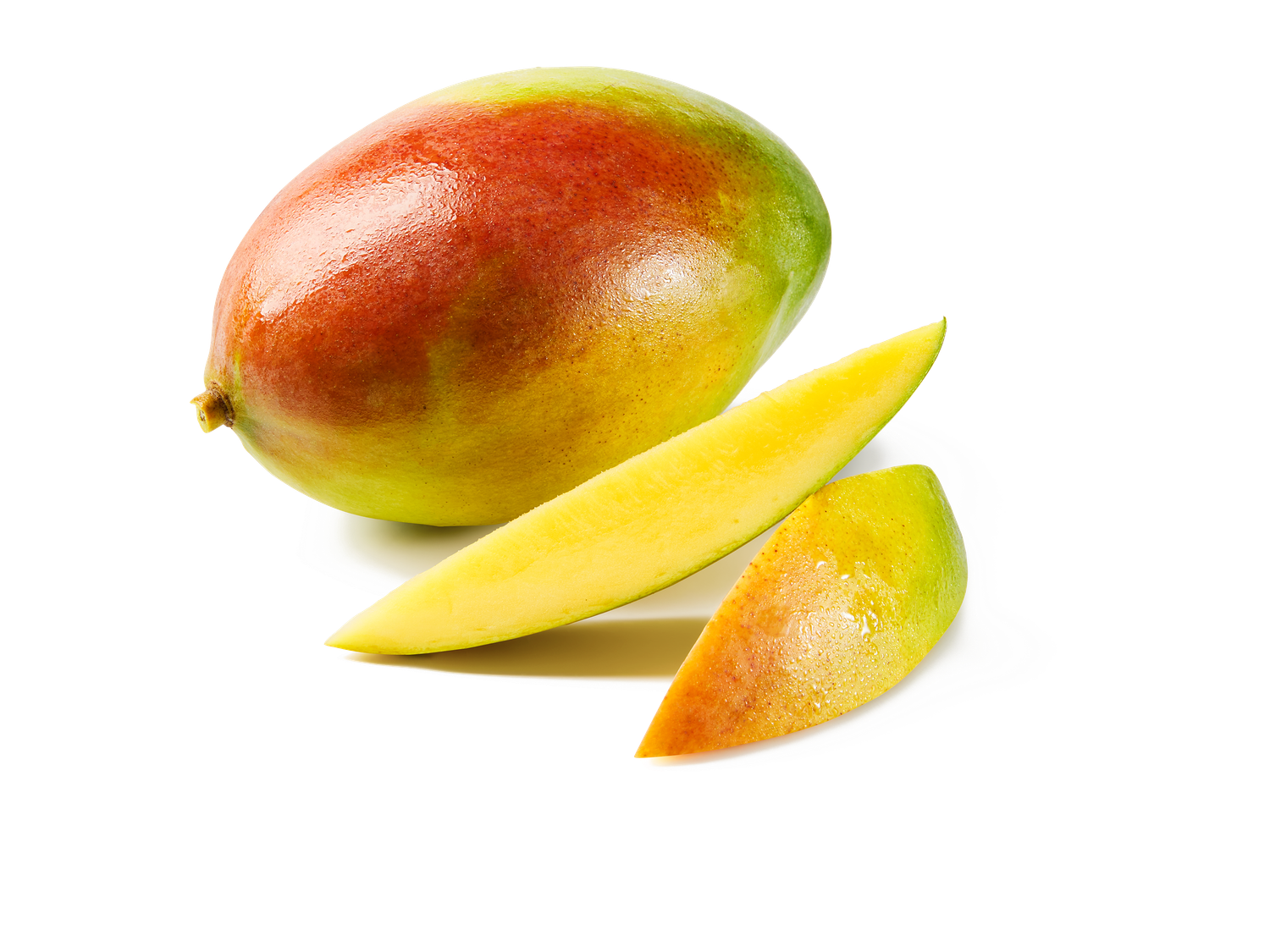 Mangue