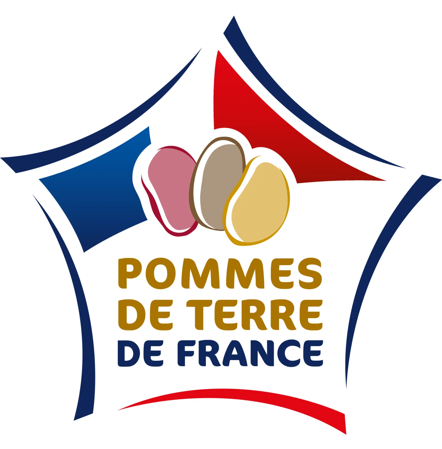 Pomme de terre four
