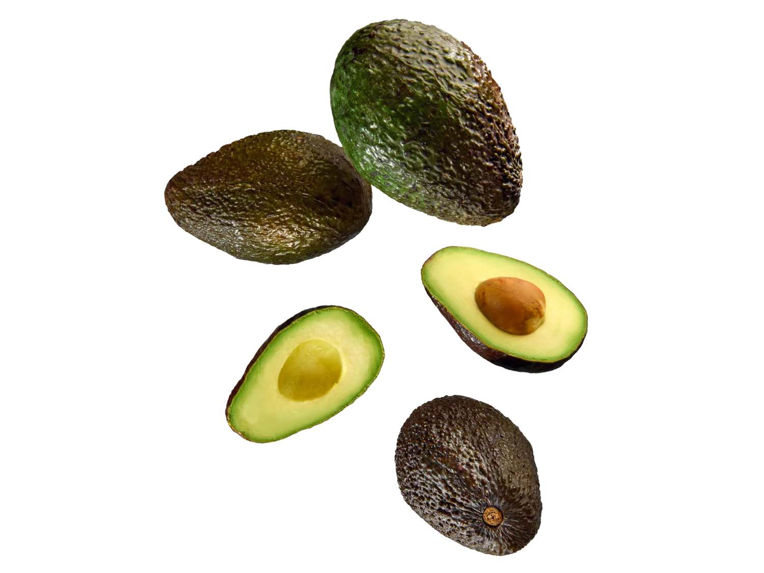 Avocat