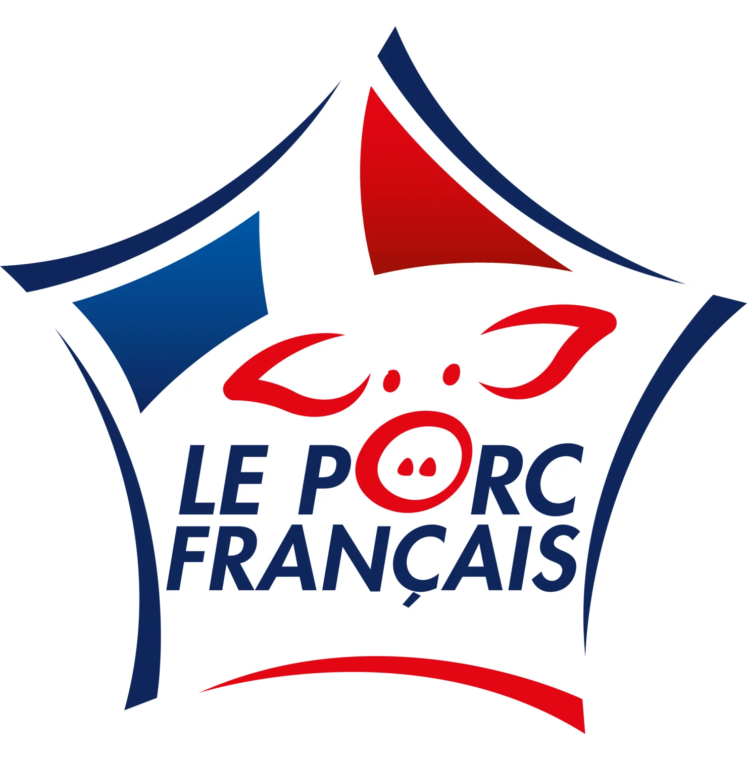 Émincés de porc au curry