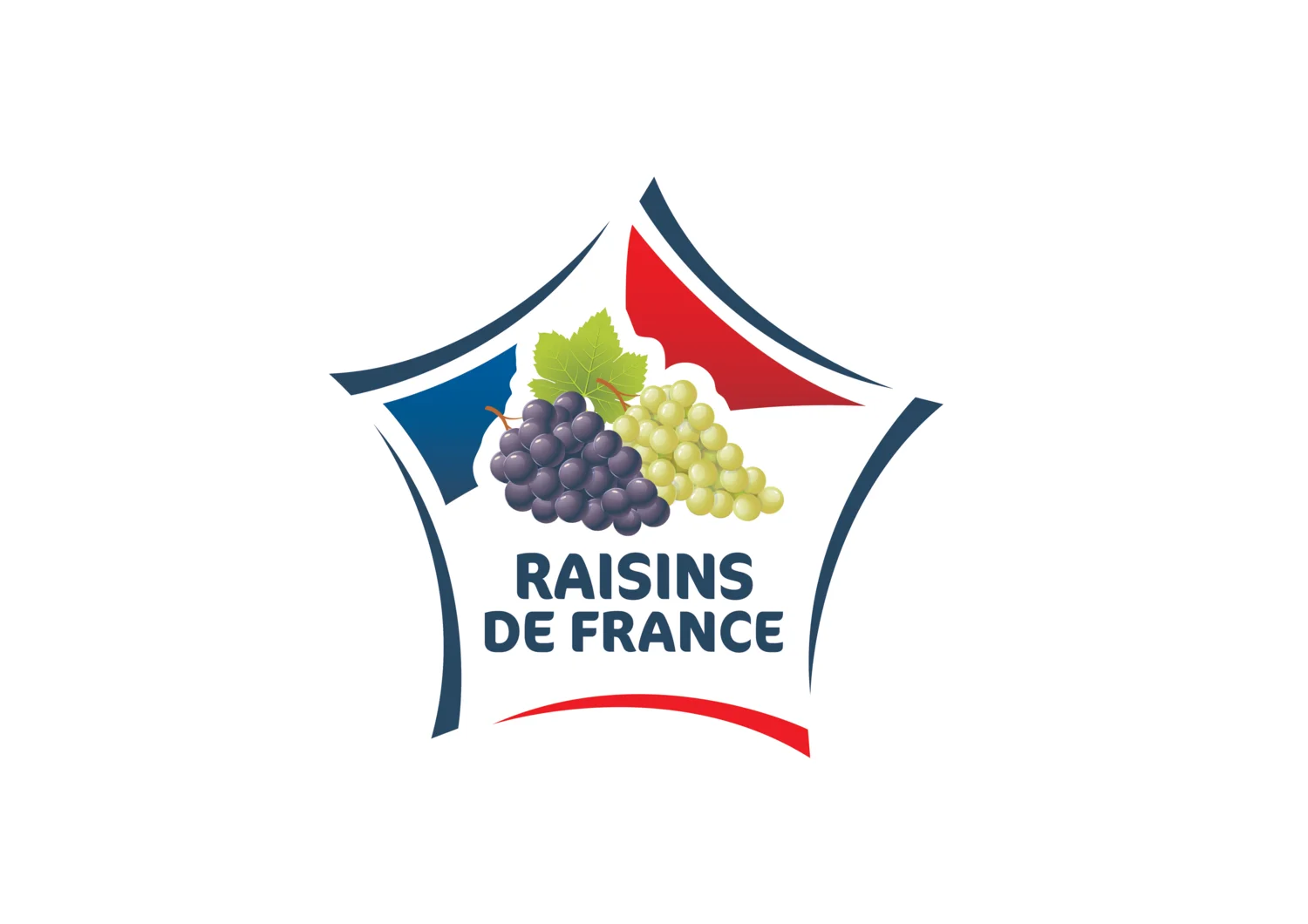 Raisin noir