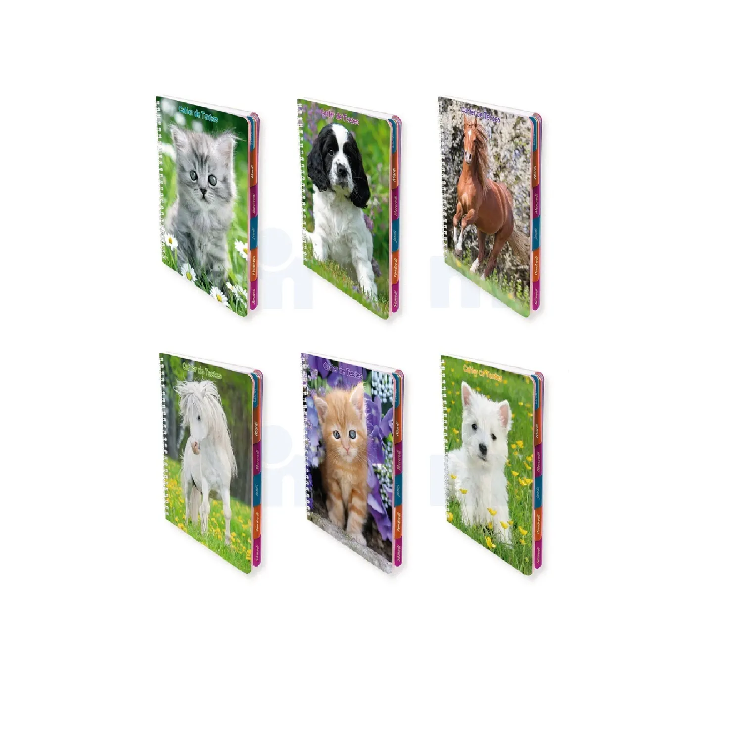 Cahier de texte de textes spirale 17x22cm séyès - ANIMAUX DOMESTIQUES