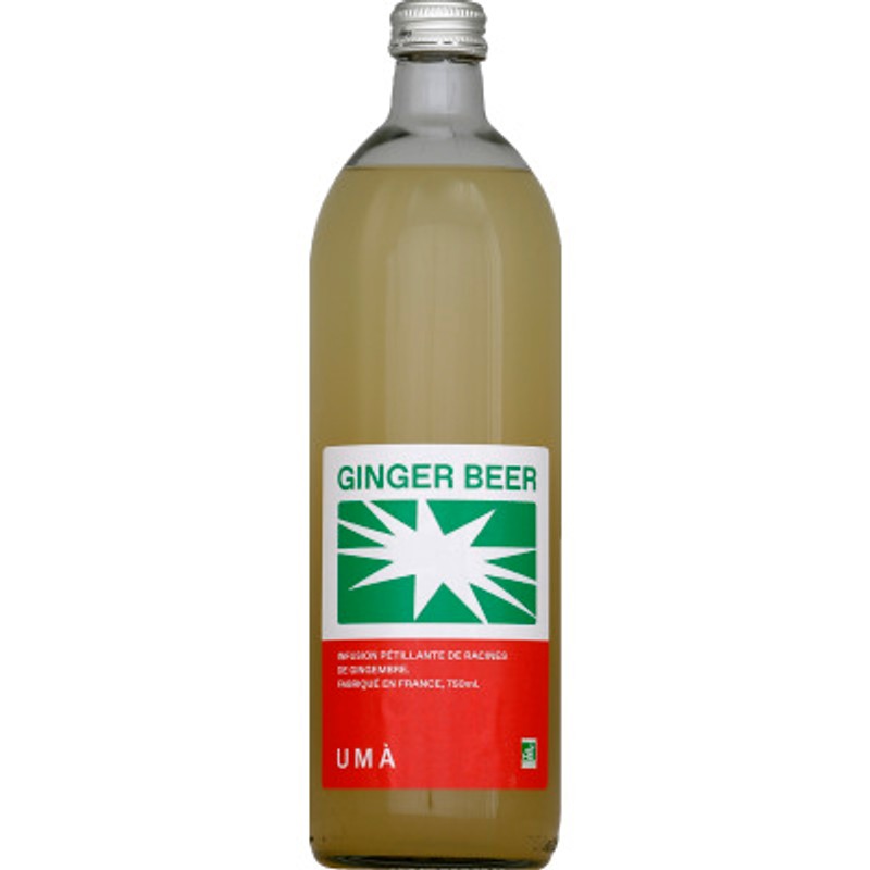 Ginger Beer Bio