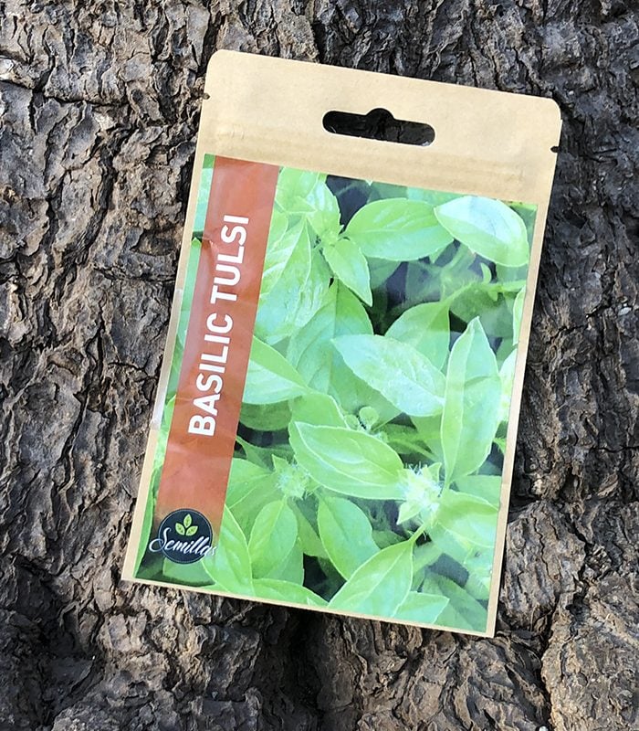 Sachet De Graines Basilic Tulsi