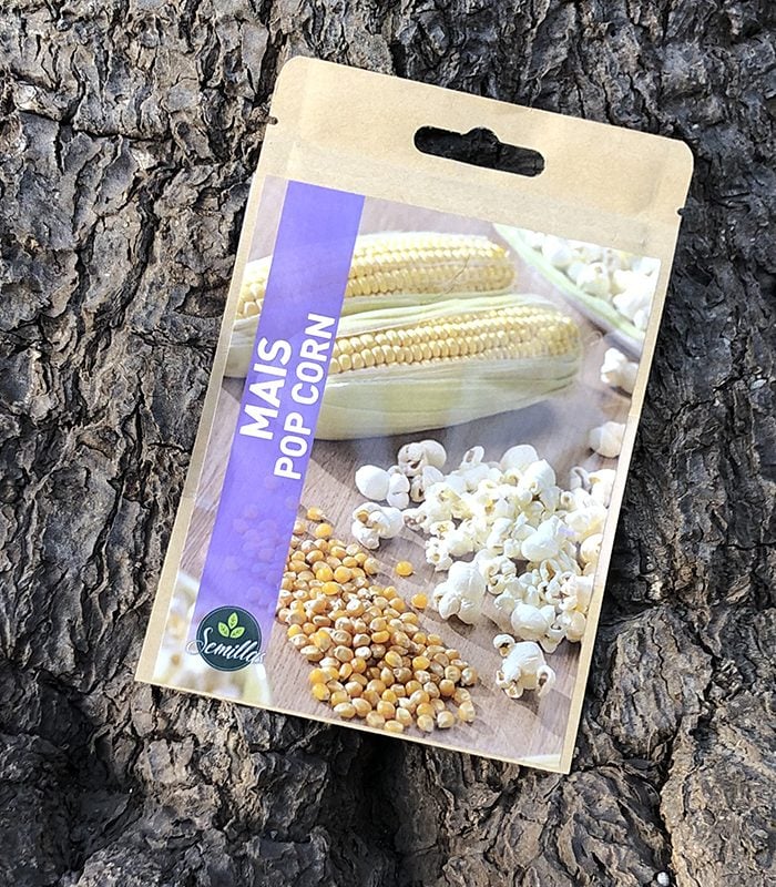 Sachet De Graines Maïs Pop Corn