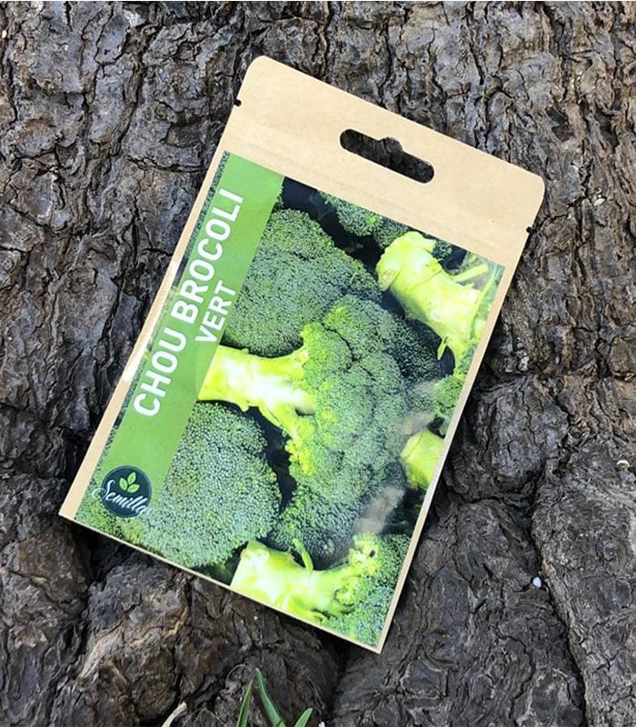 Sachet De Graines Chou Brocoli Vert