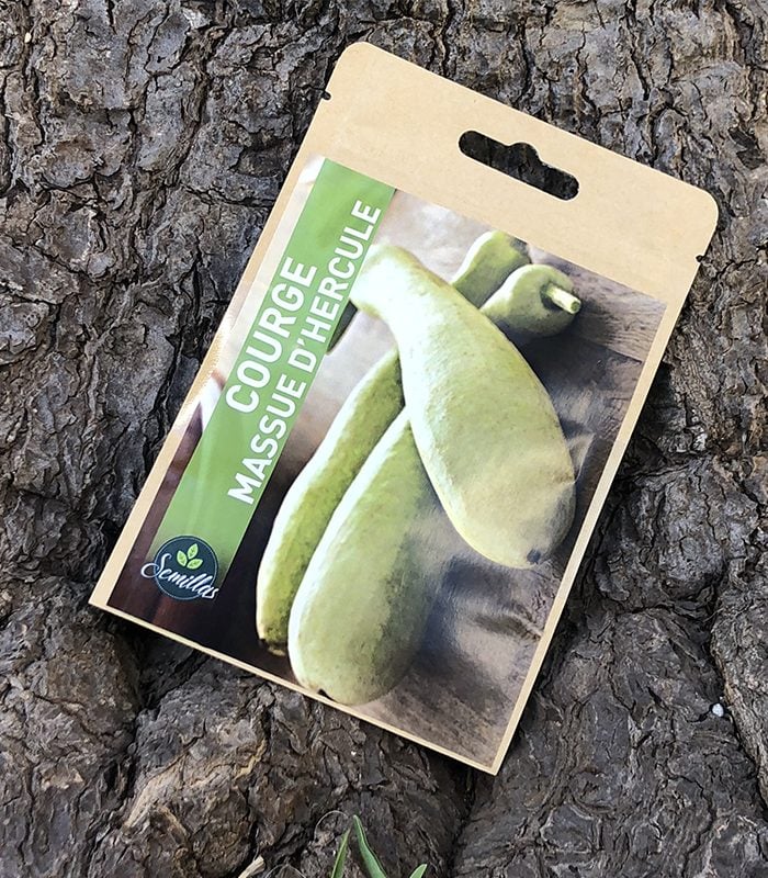 Sachet De Graines Courge Massue D'Hercule