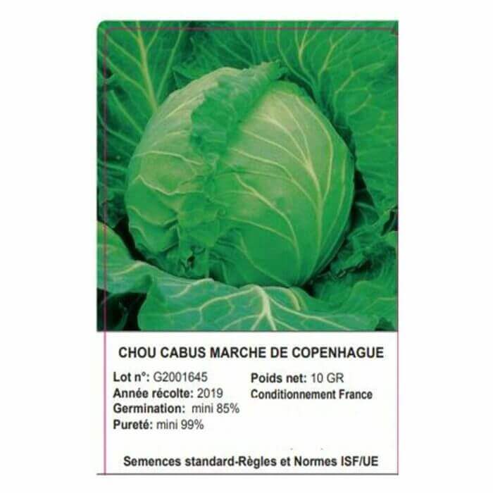 Sachet Chou Cabus 10 Grammes