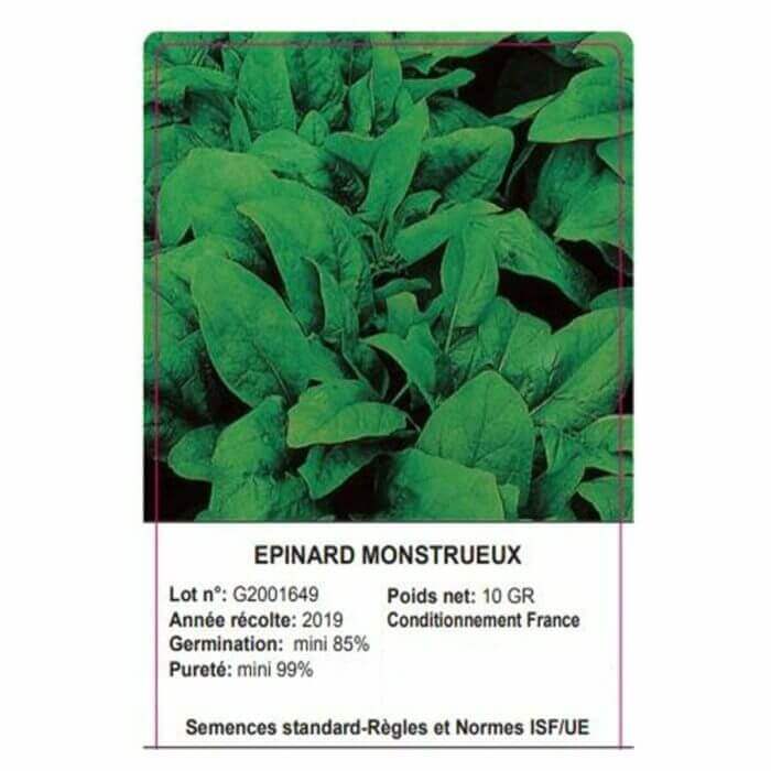 Sachet Epinard Monstrueux 10 Grammes