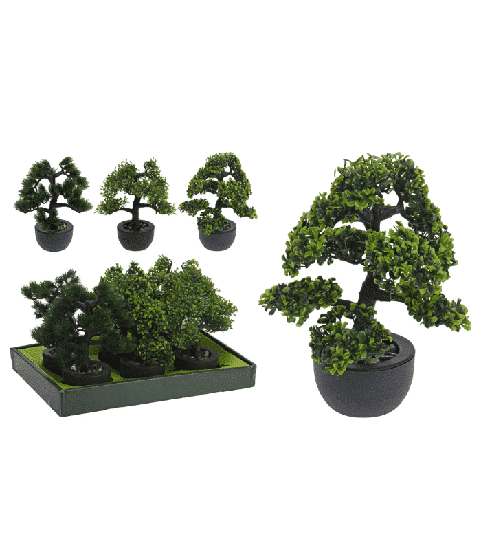 Arbre bonsai en pot 31cm 3 assorti