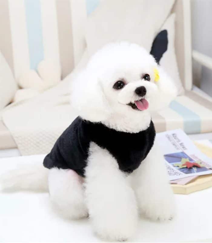 Veste En Coton Baby Bear Noir M