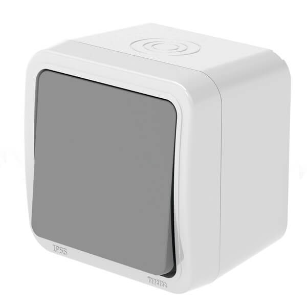 Simple Allumage Gris Foncé Tropic Ip55 Apparent