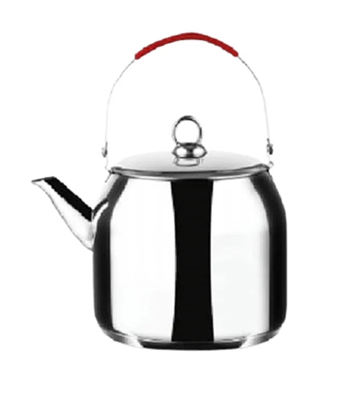 Bouilloire En Inox 4L – Bonimi