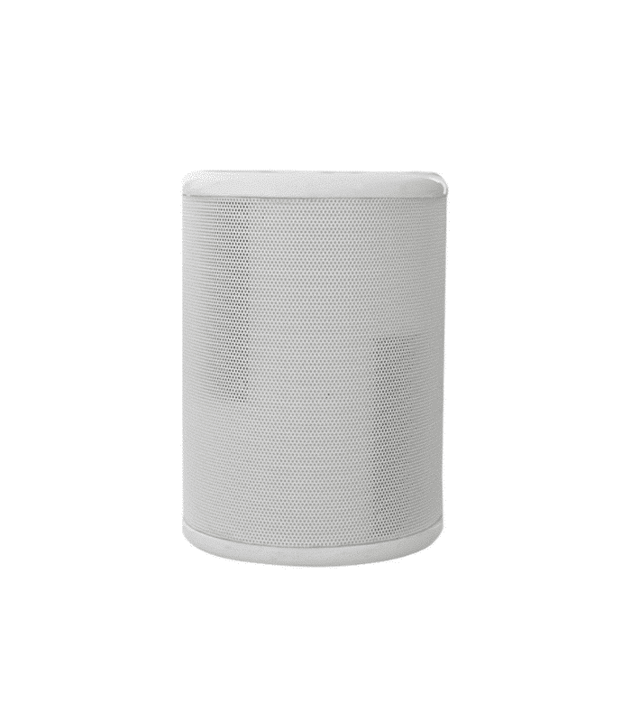 Haut parleur apparent 6 W 160 X 75 X 130 mm