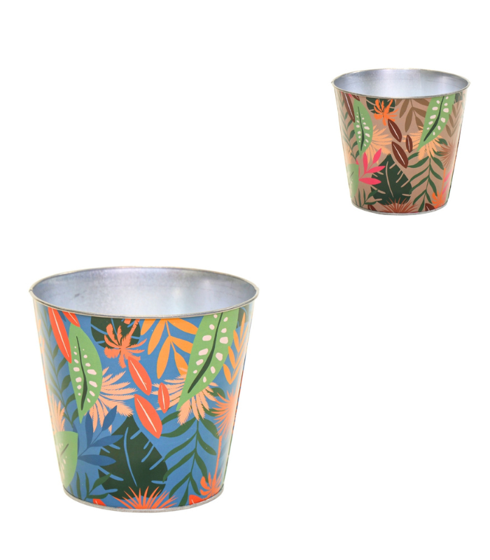 Pot De Fleurs Bob Jungle S 11 Cm 2 Assortis