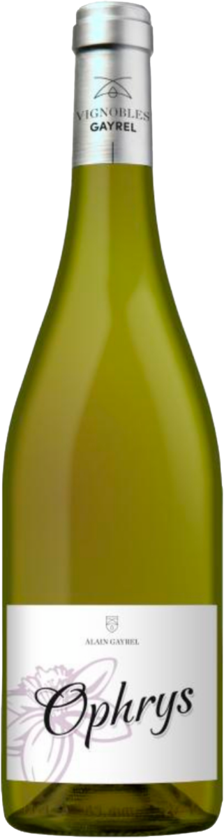 Igp Côtes du Tarn Blanc Sec