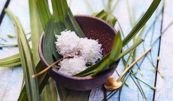 6 perles de coco Cuisine Evasion
