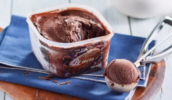 Sorbet Le cacao