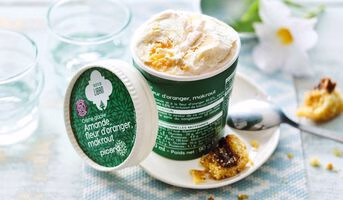 Crème glacée à la fleur d'oranger amande makrout