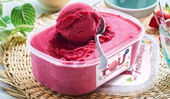 Sorbet fruits rouges