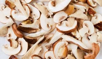 Mélange de champignons bio