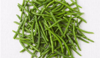 Haricots verts extra-fins bio