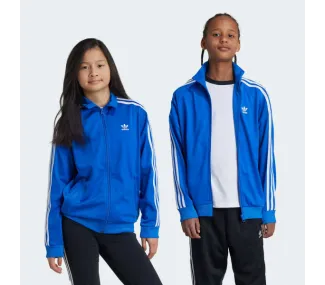 Firebird Top Blue Org