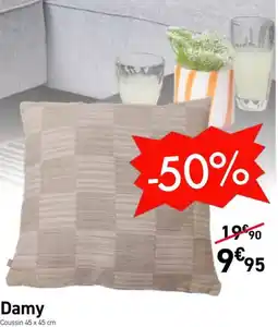 Damy Coussin