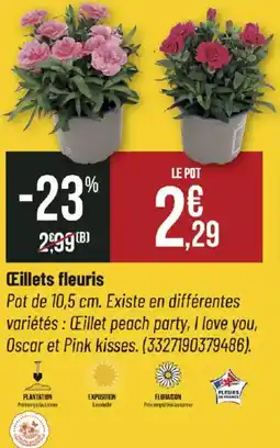 Œillets fleuris