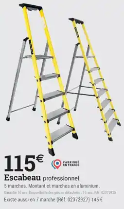 Escabeau professionnel