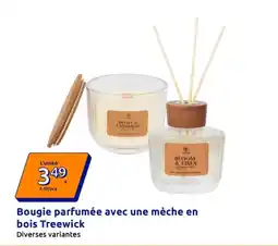 Treewick Bougie parfumée
