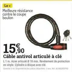 Câble antivol articulé à clé