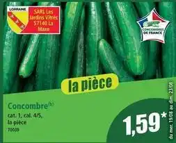 Cat - concombre