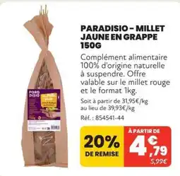 Paradisio Millet Jaune en Grappe