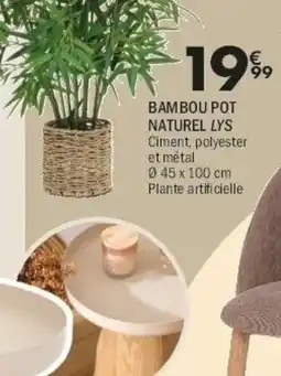 Bambou Pot Naturel Lys