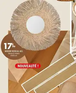 Ael miroir roseau