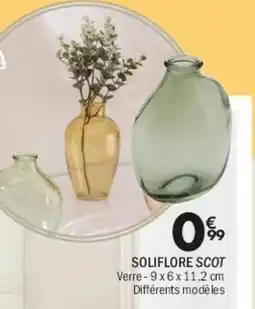 Soliflore scot