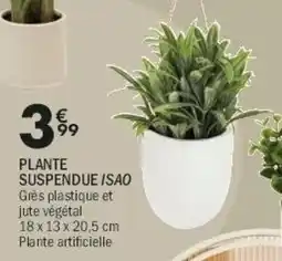 Isao plante suspendue