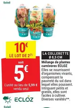Ecloz la Collerette
