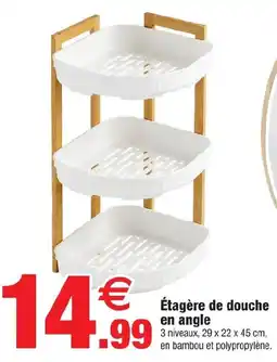 Étagère de douche en angle