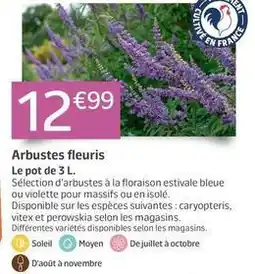Arbustes fleuris