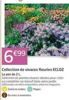 Ecloz - collection de vivaces fleuries