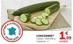 Concombre