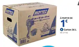 MOTTEZ Carton
