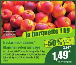 Nectarines