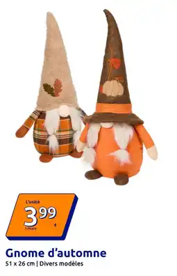 Gnome d'automne