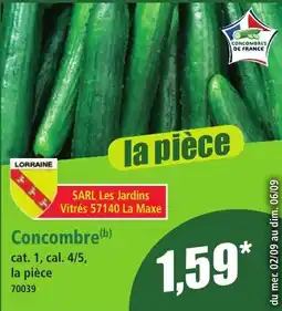 Concombre(b)